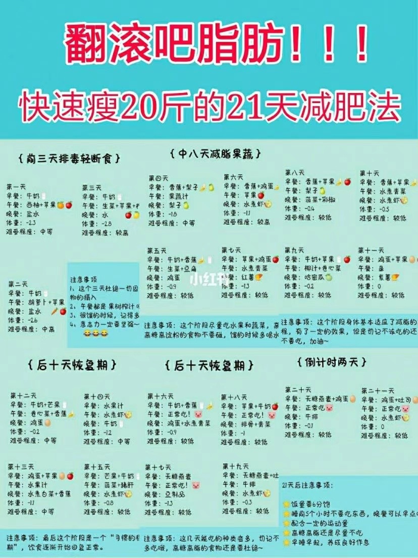 减肥有效健康方法_健康有效的减肥方法_减肥有效健康方法视频